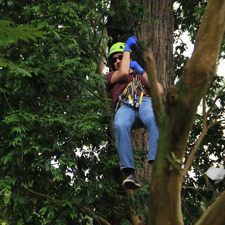 Bosque De Aventura & Glamping Refugio Del Bosque La Mesa (Tequendama) Exterior foto