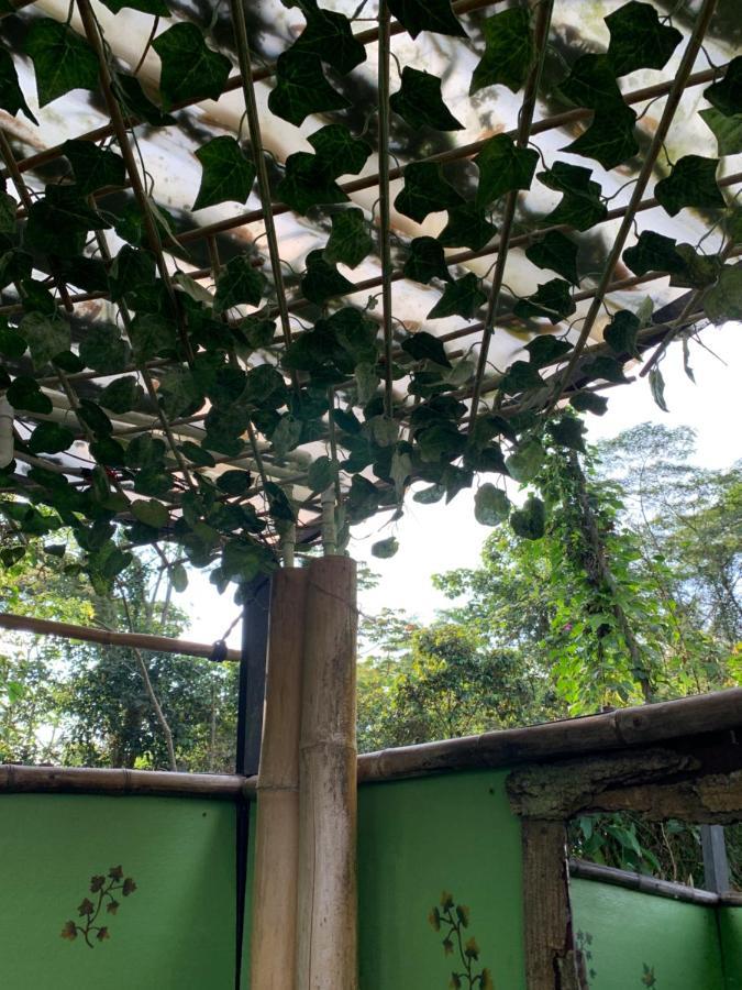 Bosque De Aventura & Glamping Refugio Del Bosque La Mesa (Tequendama) Exterior foto