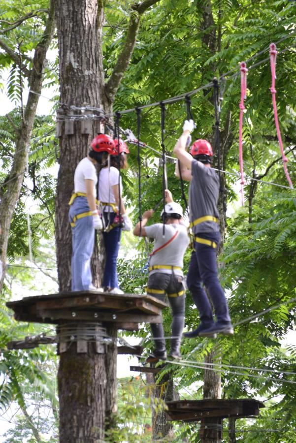 Bosque De Aventura & Glamping Refugio Del Bosque La Mesa (Tequendama) Exterior foto
